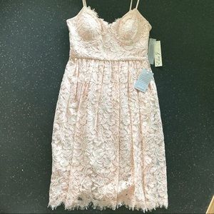 NWT Eliza J Lace Bustier Dress (Size: 2P)